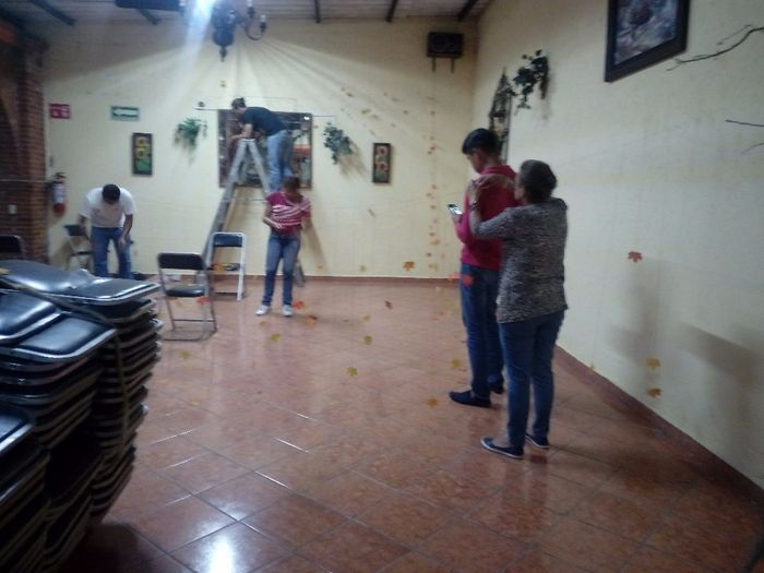 hojas enredadas muy mal plan