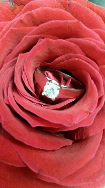 Y si me enseñas tu anillo? - 1
