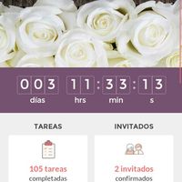  Las emociones que las novias tenemos - 1