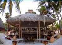 palapa