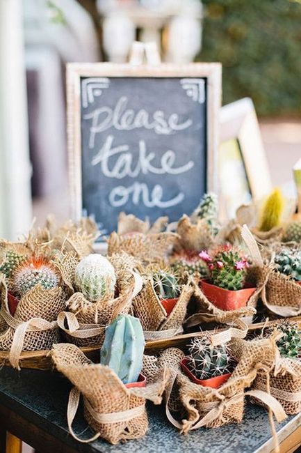 Bodas con cactus - 6