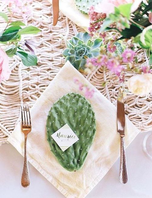 Bodas con cactus - 8