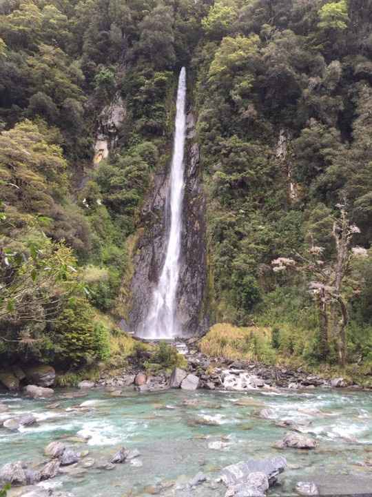 Cascada NZ