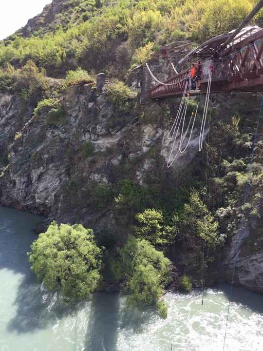 Puente colgante NZ bungee