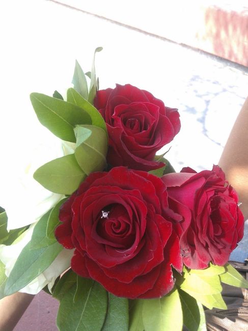 MI ANILLO DE COMPROMISO