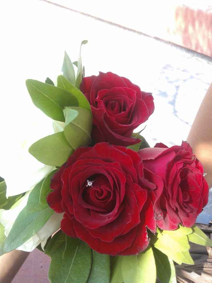 MI ANILLO DE COMPROMISO