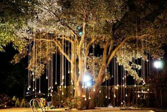 Zacatecas, ayudame por favorrts - 2