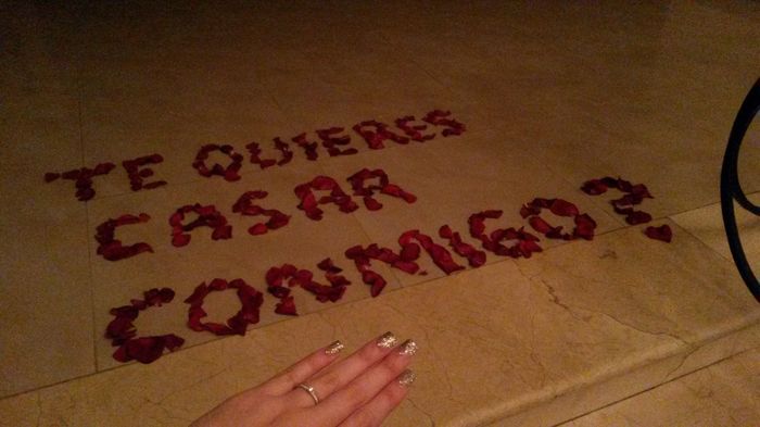 Mi propuesta de matrimonio!!! - 0