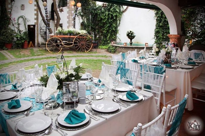 HABEMUS JARDIN