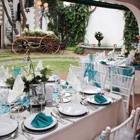 HABEMUS JARDIN