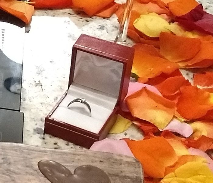 Mi sorpresa romántica - 1