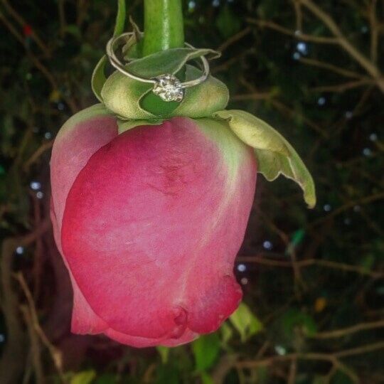 Viernes de presumir el anillo💍 - 1