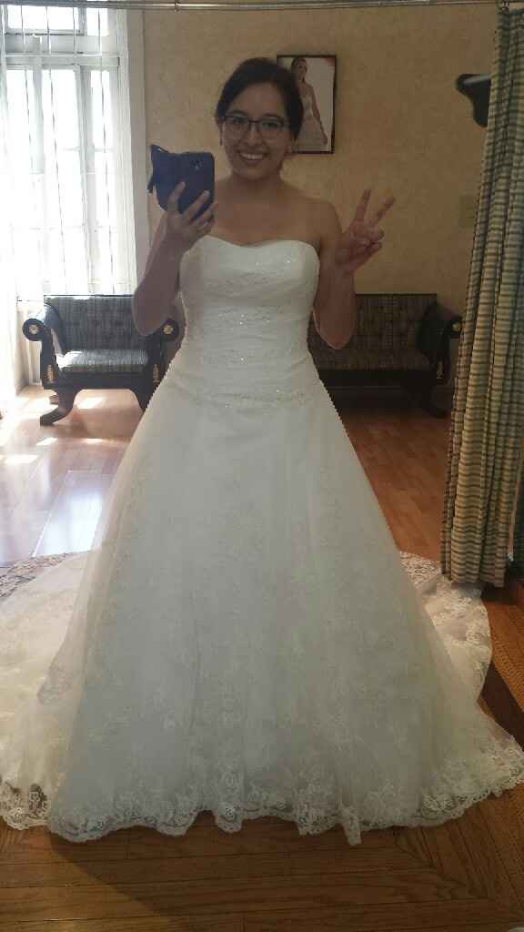 Ya tengo mi vestido!!!! - 1