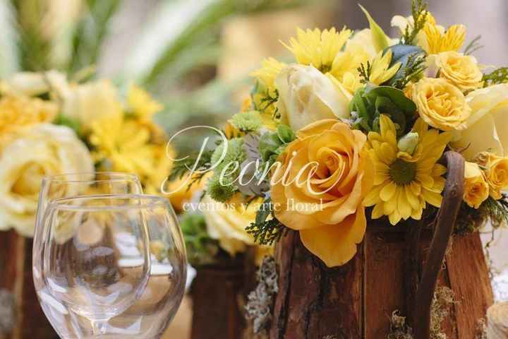 ¿Que significa cada color? - 6