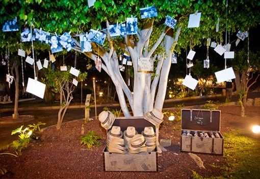 Arbol con fotos