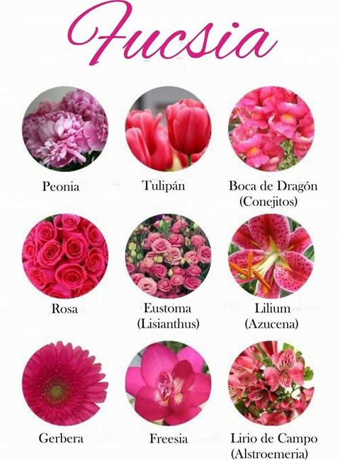 Flores según tu mes de boda 9