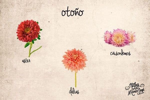 Flores según tu mes de boda 15