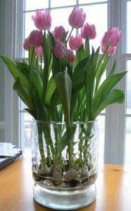 Tu boda con tulipanes 🌷 - 5