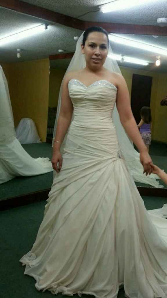Mi vestido... y que velo le queda???? - 1