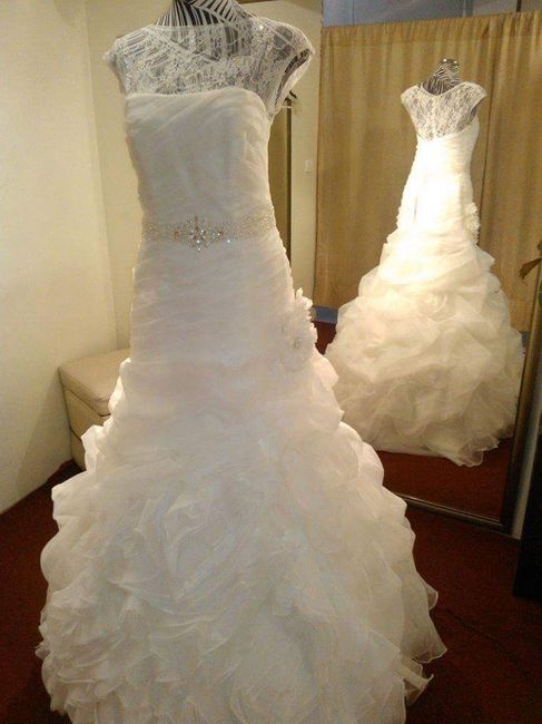 El vestido de novia "las mangas" - 1