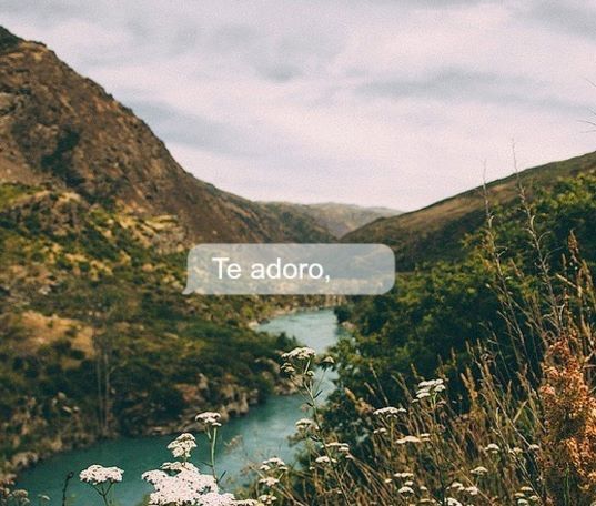 No puedo dormir sin decirte que... - 5