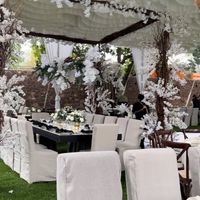 ¿Ya tienes a tu proveedor de flores y decoración? 🌷 - 1