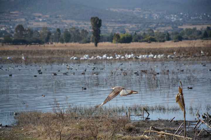 Sesión de fotos en Querétaro 📸 - 3
