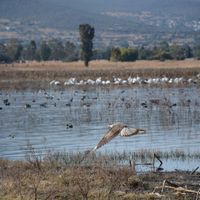 Sesión de fotos en Querétaro 📸 - 3