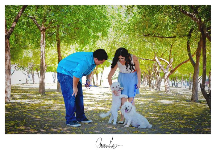 El mejor amigo del hombre el dia de la boda :D - 4