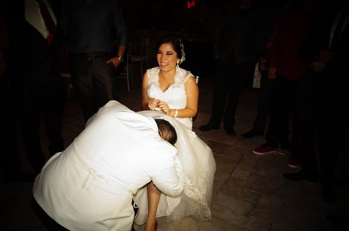 fotos