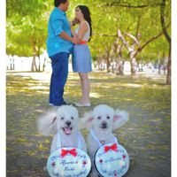 El mejor amigo del hombre el dia de la boda :D - 1