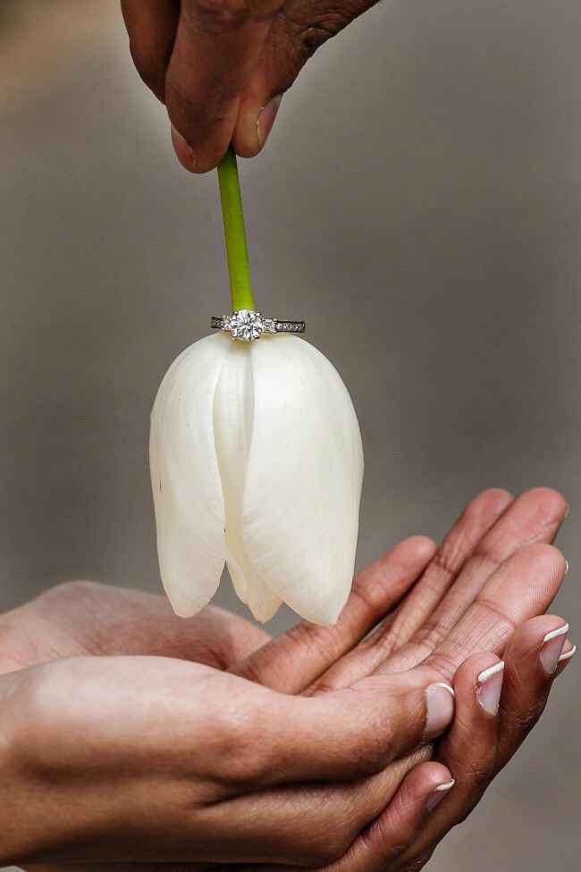 Tu boda con tulipanes 🌷 - 1