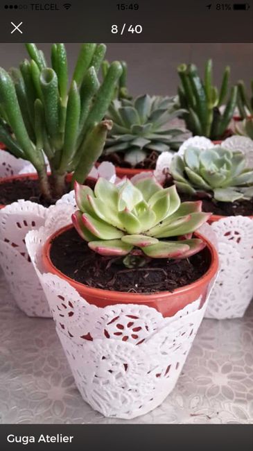  Avances de la despedida de soltera - 1