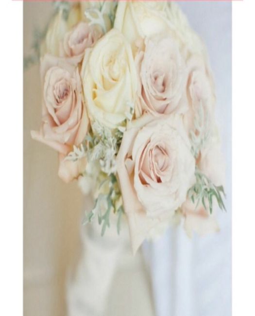 Chicas que flores usaran para su ramo - 1