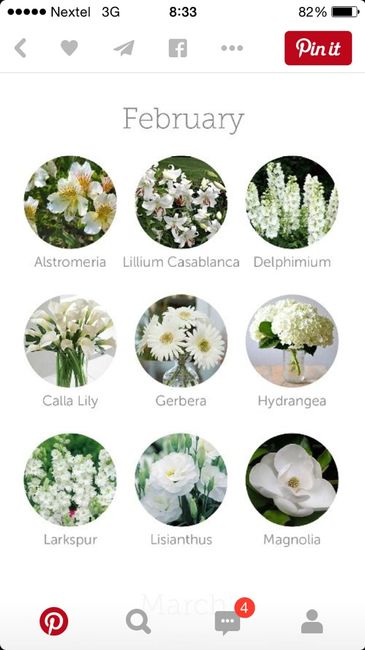 Color de flores dependiendo el mes de tu boda ;) - 2