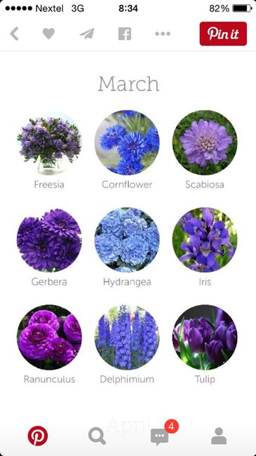 Color de flores dependiendo el mes de tu boda ;) - 3