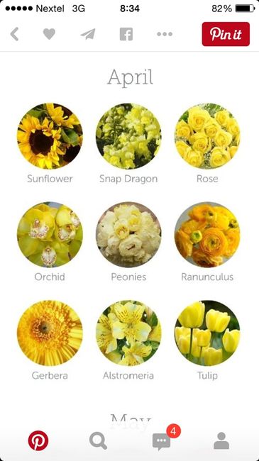 Color de flores dependiendo el mes de tu boda ;) - 4