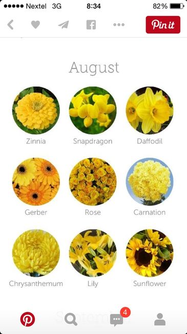 Color de flores dependiendo el mes de tu boda ;) - 8