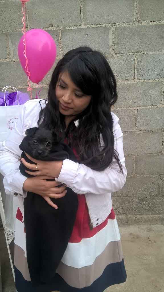 Lomitos como pajes 🐶 - 1