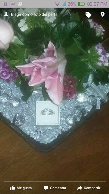 Mi anillo de compromiso de plata - 1