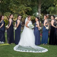 mis bellas damas