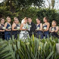 todos como estrellas de telenovela