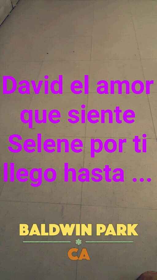 Cartelitos de amor - 1