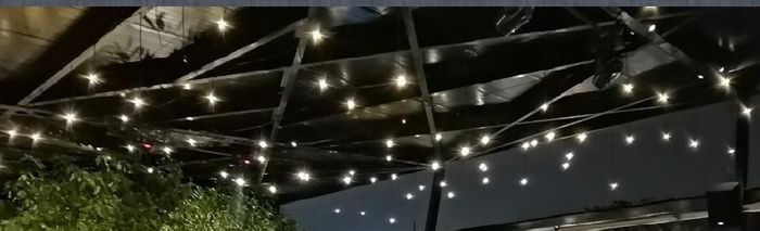 Luciérnagas /luces de cacahuate - 1