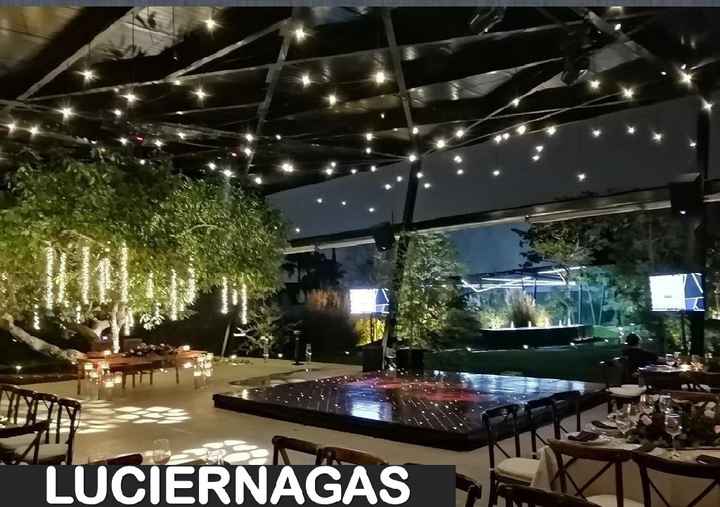 Luciérnagas /luces de cacahuate - 2