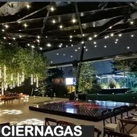Luciérnagas /luces de cacahuate - 2