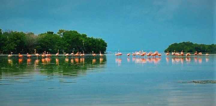 luna de miel en Holbox!!!