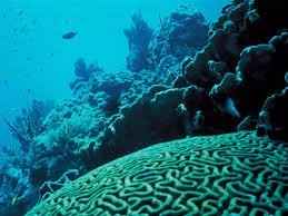 luna de miel en Holbox!!!