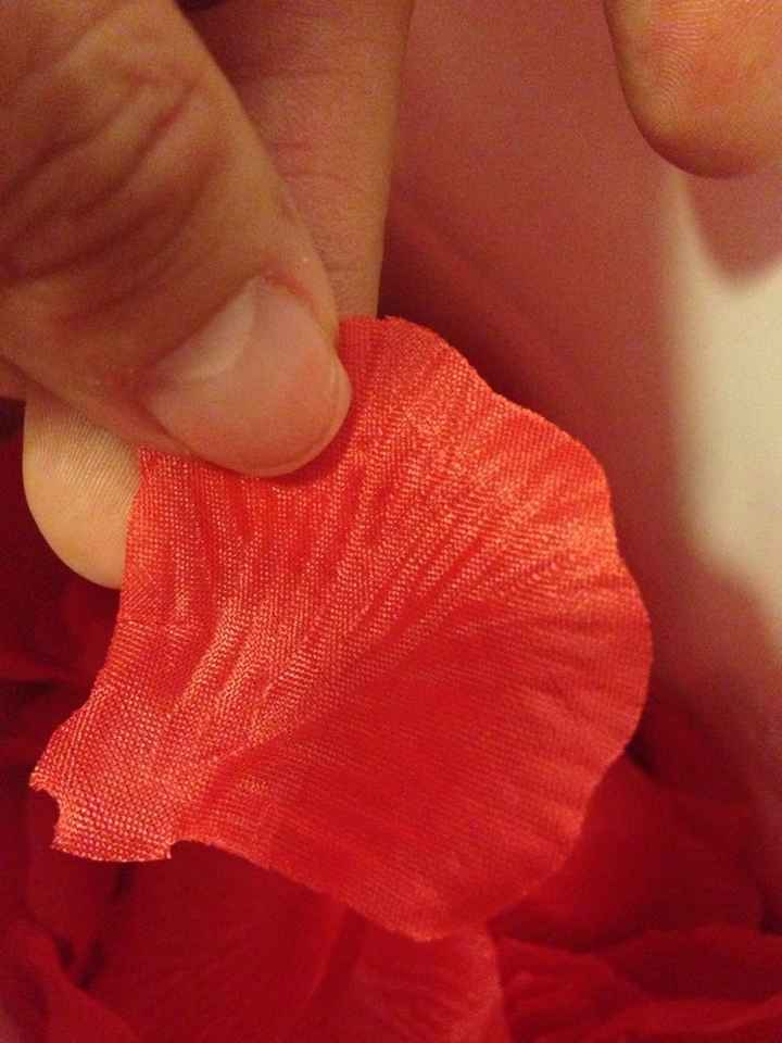 Pétalos artificiales para la entrada ala iglesia - 2