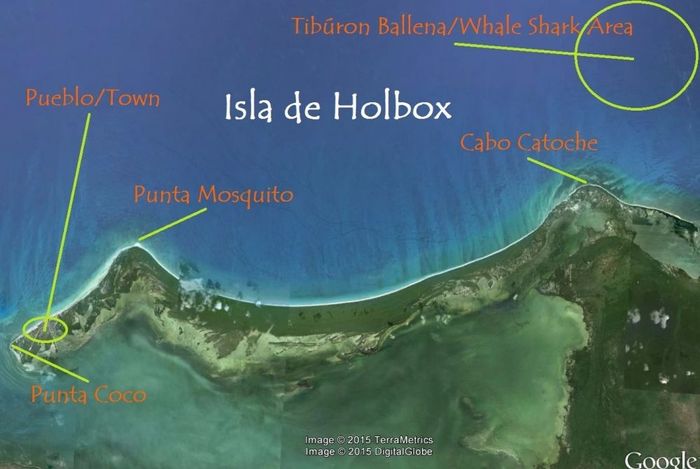 luna de miel en Holbox!!!